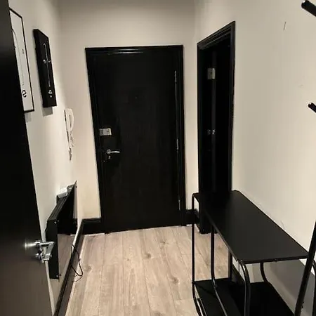 Modern Luxurious *